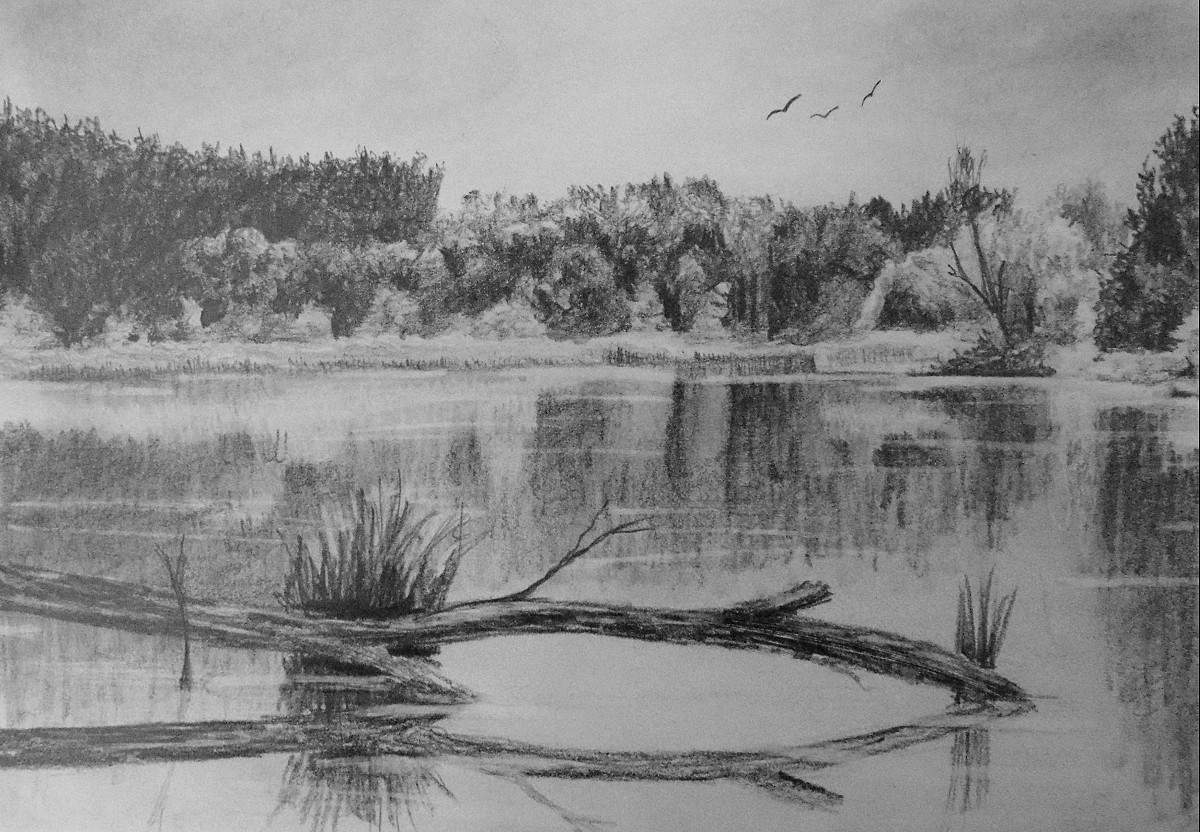 How to Draw Reflective Water — Online Art Lessons