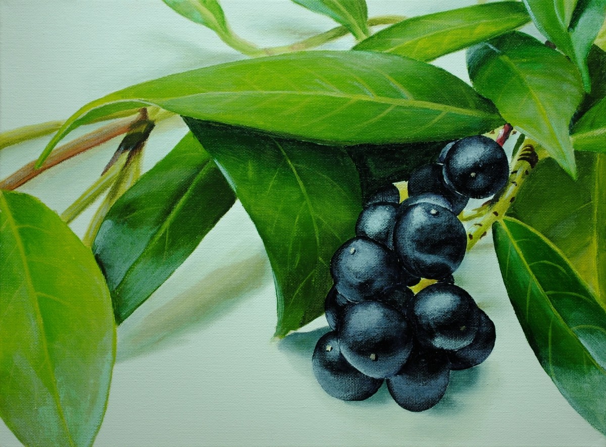 Learn how to paint realistic berries and leaves in acrylic with this online art lesson by Nolan Clark of the Paint Basket. how to paint leaves, how to paint berries, how to paint plants, how to paint still life, how to paint reflections, how to paint realistic leaves, how to paint photo realistic