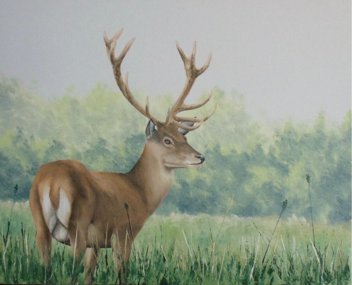 How to Paint a Deer in Oil — Online Art Lessons