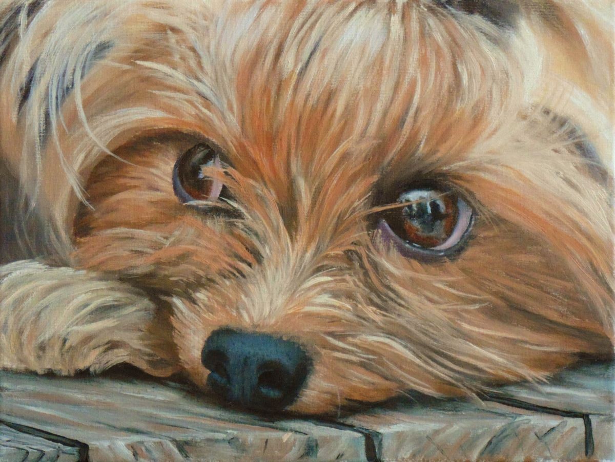 How to Paint a Yorkshire Terrier in Oil — Online Art Lessons
